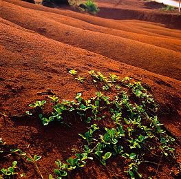 《守望先锋2》新英雄“芙蕾雅”限时试玩宣布下周上线